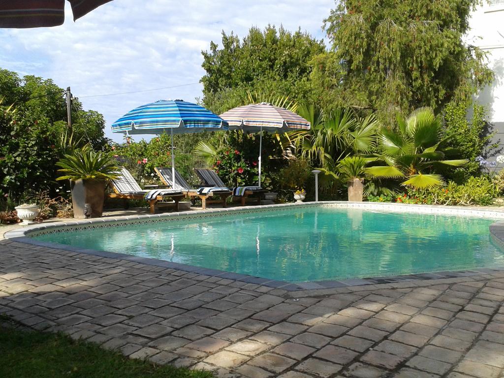Aestas Bed & Breakfast Knysna Exterior photo