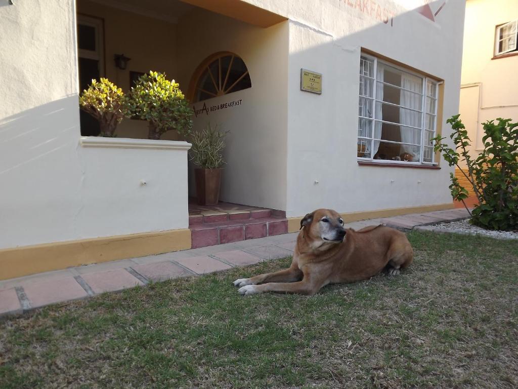Aestas Bed & Breakfast Knysna Exterior photo